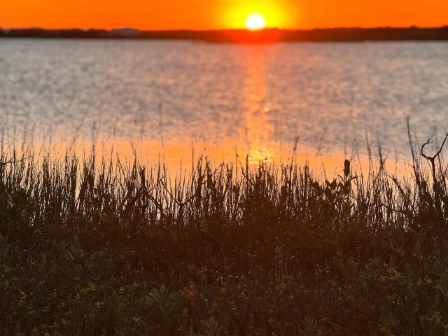 I attempted to sneak away to the little pier near where we are camping for a peaceful calming view of the final sunset of 2024 and gained three tag alongs. One quit walking immediately and had to be cajoled along. The same little menace unrolled an entire box of dog poop bags from the  complimentary stand while my back was turned and the four legged menace masquerading as a giant fluffy white dog almost pulled the 9 yo over, escaping to chase a heron into the bay and cutting three out of four paws on the rocks. After we wrestled him down, on the way back, the toddler quit walking entirely and I carried him the whole way while the last one spent the walk home telling me how freaked out his brother would be over the bloody paws. And if that doesn’t sum up the entirety of 2024 and really my whole life then you don’t know me at all. Buh bye 2024. It’s been real, but not real fun. #momlife #saltlife #siblinglove #giantdogs #utterchaos #aransaspass #newyearseve